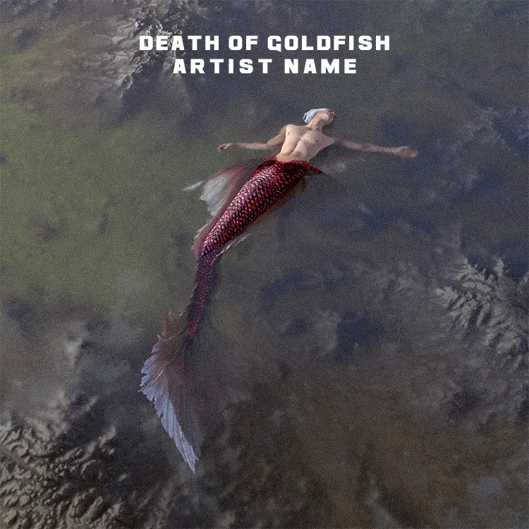 Death of goldfish cover art for sale