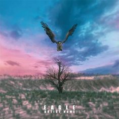 Eagle Cover art for sale
