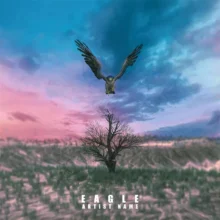 Eagle Cover Art Design