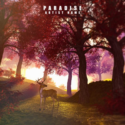 Paradise cover art for sale