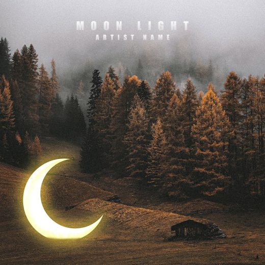 Moon light cover art for sale