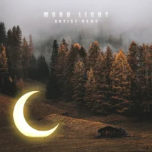 Moon light Cover art for sale