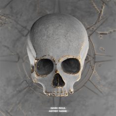 An artwork with a dark vibe and a skull with greys and golds.
