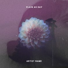 plain as day Cover art for sale