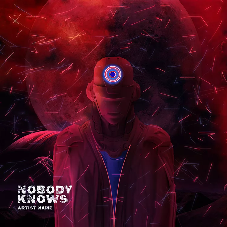 Nobody knows cover art for sale