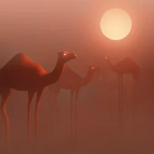 A desert themed artwork with a atmospheric misty environment