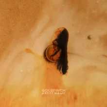 goldfinch Cover Art Design