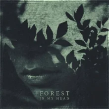 Forest in my head Cover art for sale