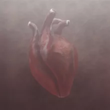 A surreal artwork with a foggy atmosphere and a human heart