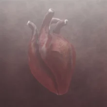 Heart Beat Cover art Heart Beat Cover Art Design