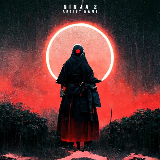 Ninja 2 cover art for sale
