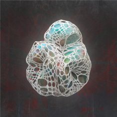 An abstract artwork with a stone trapped inside a elastic net