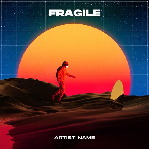 Fragile cover art for sale