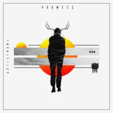 prowess Cover art for sale