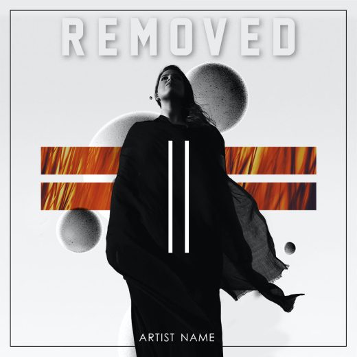 Removed cover art for sale