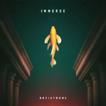 immerse Cover art immerse