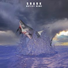 shark Cover art for sale