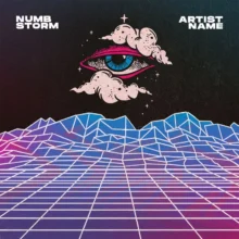 Numb Storm