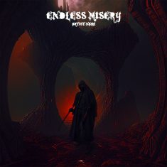 Endless misery Cover art for sale