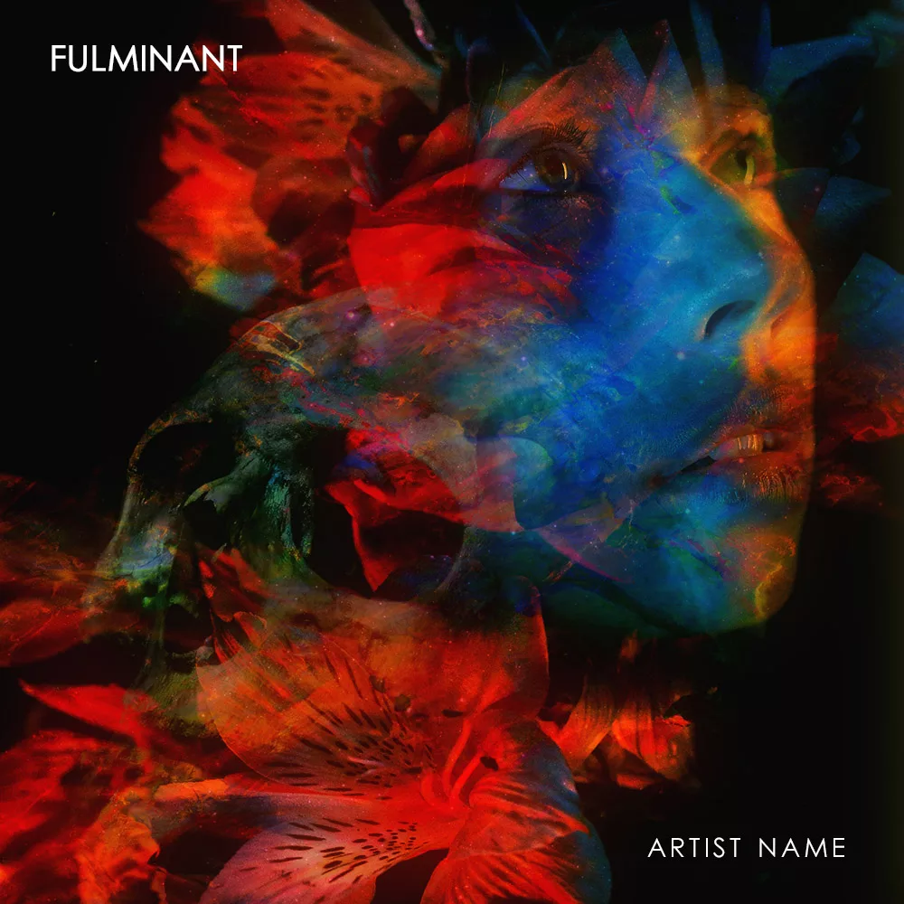 Fulminant cover art for sale