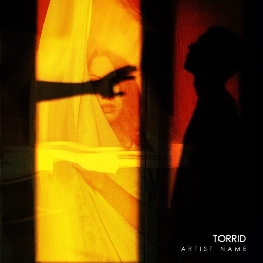 Torrid cover art for sale