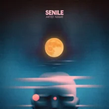 senile Cover art for sale