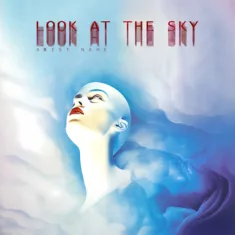 Look at the sky Cover art for sale