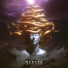 Medusa Cover art for sale