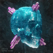 Arctic Cover Art Design