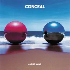 conceal Cover art for sale