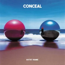 conceal Cover art for sale