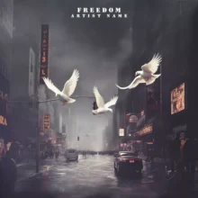 freedom Cover art for sale