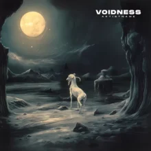 Voidness Cover art for sale