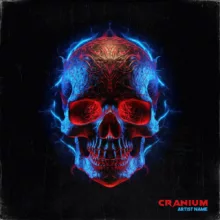 cranium Cover art for sale