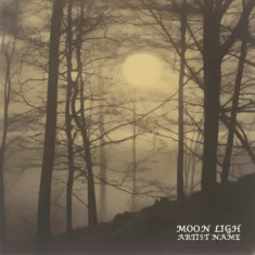 moon light Cover art for sale
