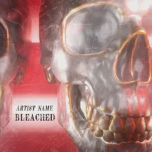 Bleached Cover Art Design