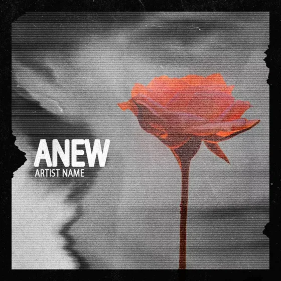 anew Cover art for sale