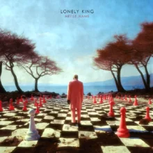 lonely king Cover art for sale