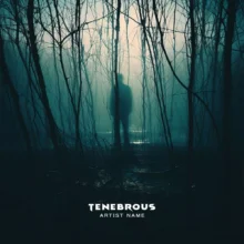 tenebrous Cover art for sale