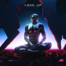 Look up Cover art for sale