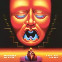 Madness of love Cover Art Design