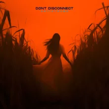 Dont disconnect II Cover art for sale
