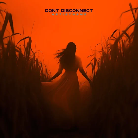 Dont disconnect II Cover art for sale