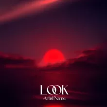 Look Cover art for sale