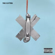 the cutter cover art
