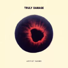 truly damage Cover art for sale