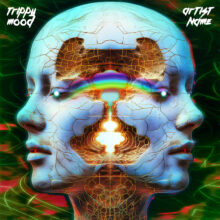 Trippy mood Cover art for sale