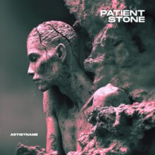 Patient stone Cover art for sale