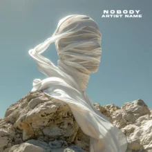 nobody Cover art for sale