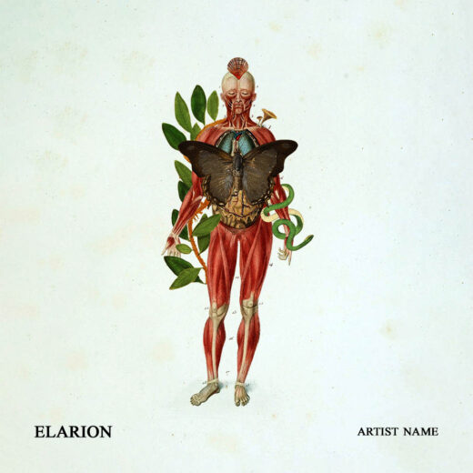 Elarion cover art for sale